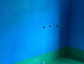 贾汪卫生间测漏水多少钱